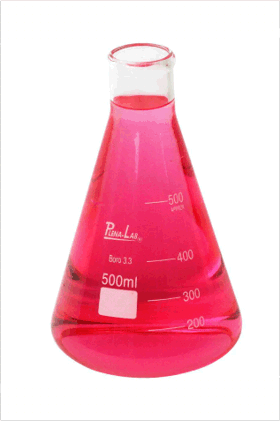 Erlenmeyer